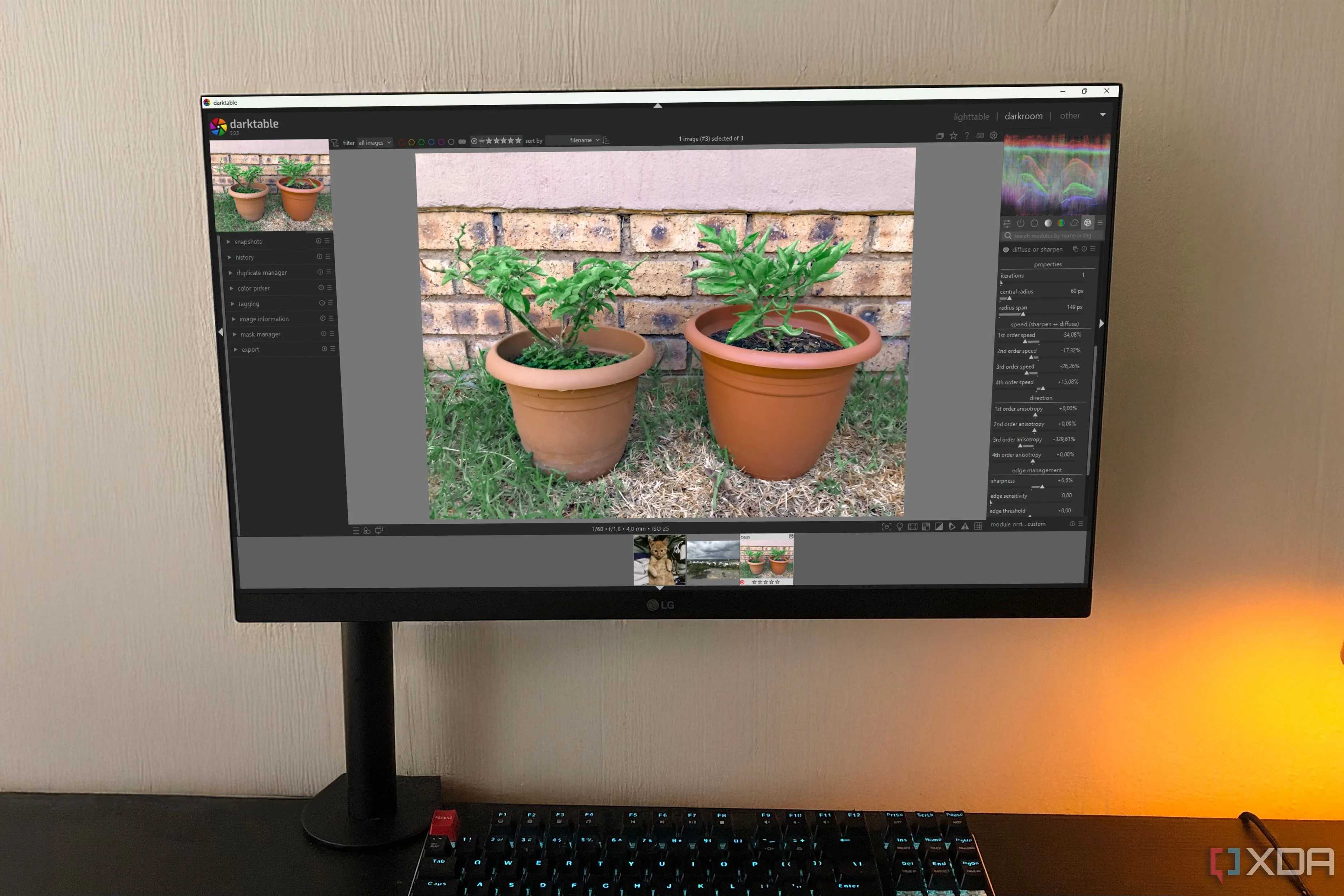 Darktable trên máy tính để bàn hiển thị hình ảnh cây cảnh, một lựa chọn nguồn mở cho việc chỉnh sửa ảnh