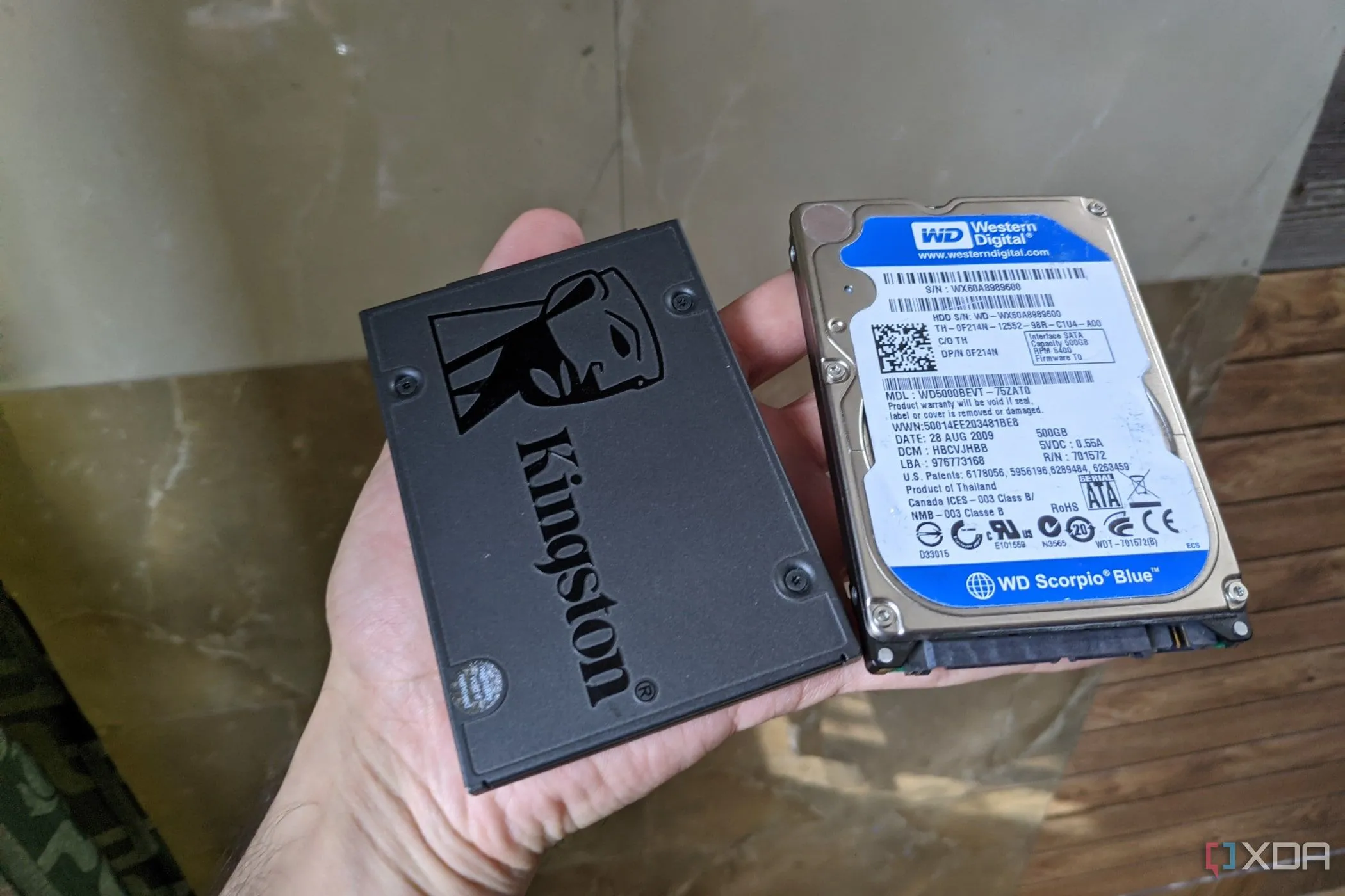 Ổ cứng SSD Kingstone và HDD WD, tượng trưng cho khả năng kiểm soát dữ liệu tự lưu trữ