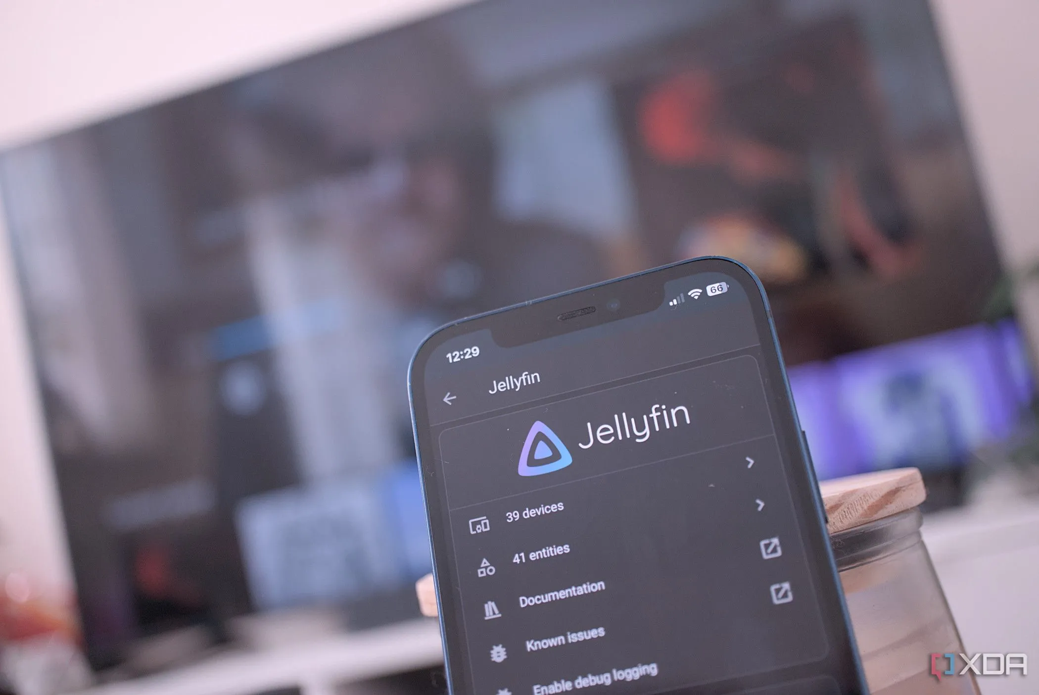 Tận dụng Jellyfin để stream nội dung đa phương tiện tại nhà trên các thiết bị khác nhau, minh họa trải nghiệm media server.
