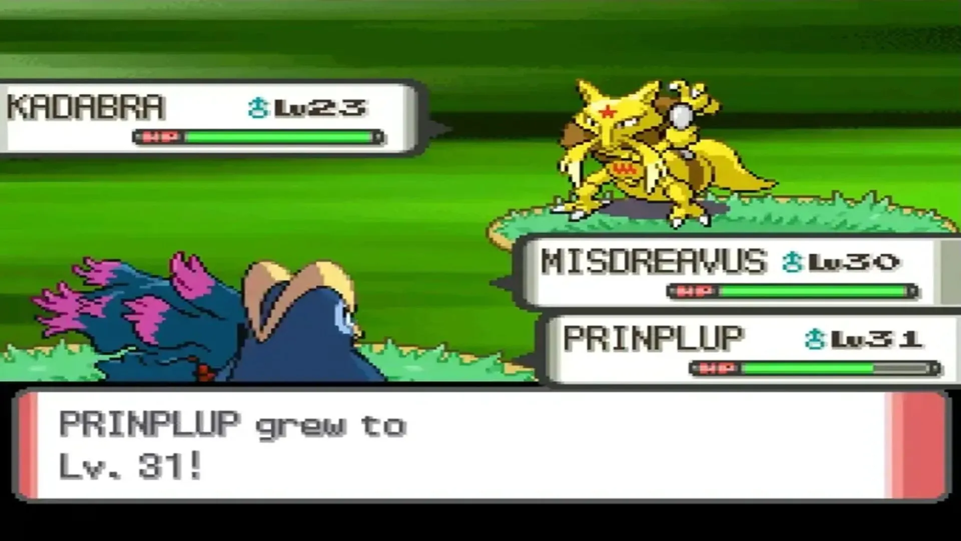 Ảnh chụp màn hình trận đấu đôi trong game Pokémon Pearl, thế hệ thứ tư của dòng game Pokémon trên Nintendo DS.