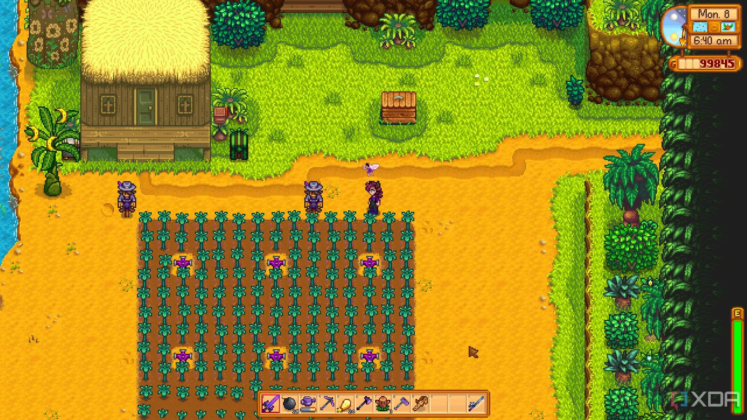 Bối cảnh nông trại trên đảo Ginger Island trong Stardew Valley, minh họa nội dung game được mở rộng.