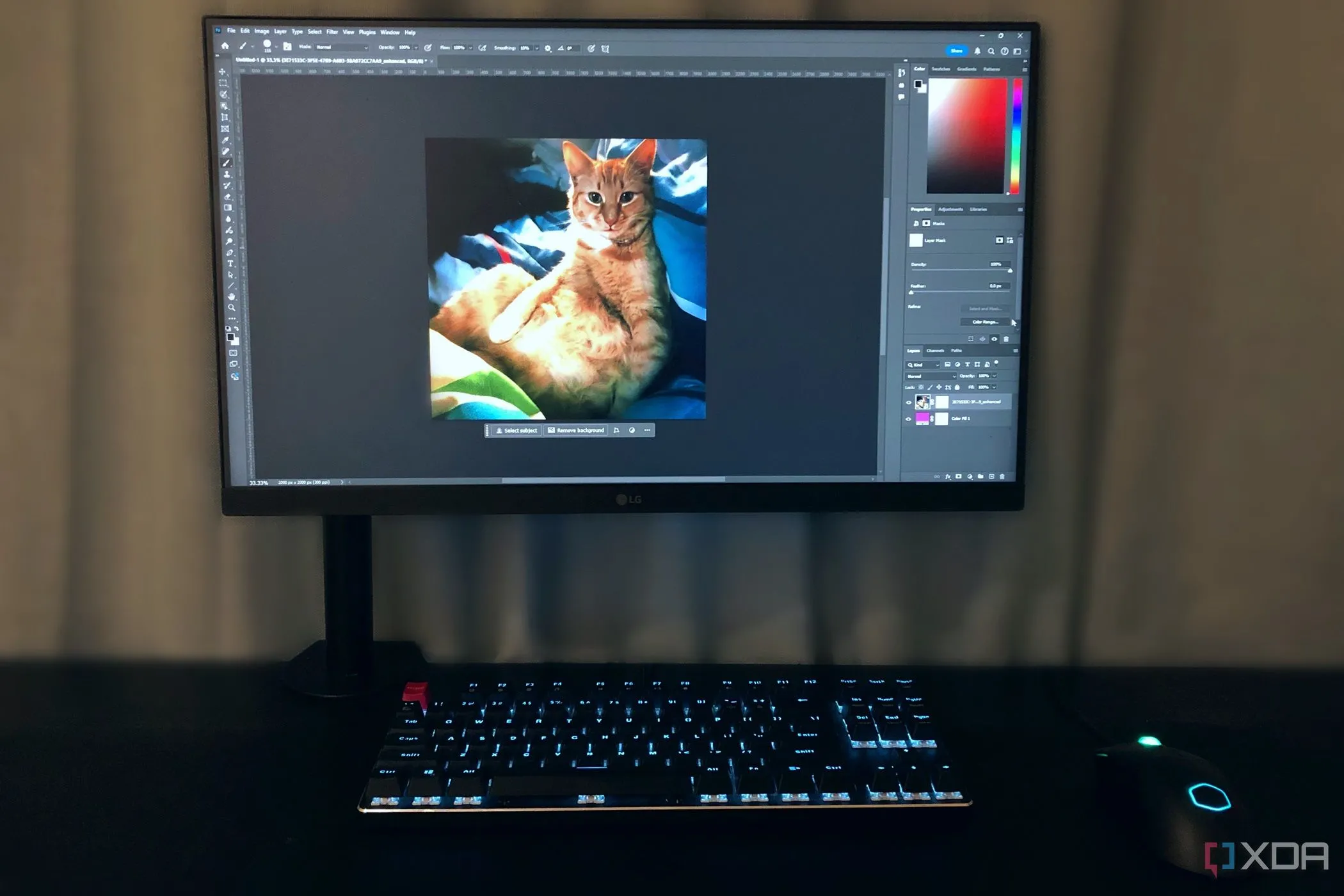 Cách sử dụng Select and Mask trong Photoshop để tạo vùng chọn phức tạp
