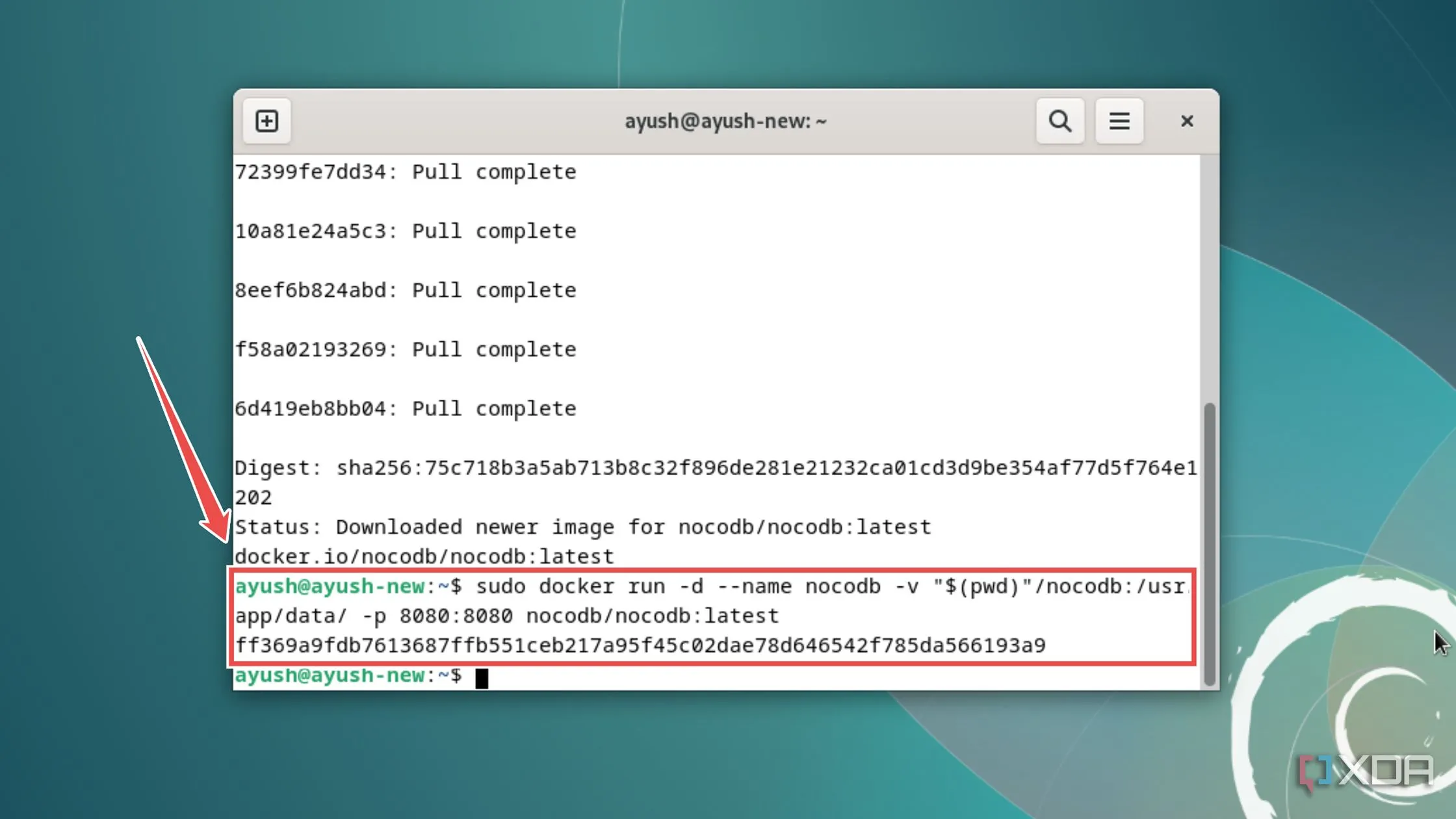 Chạy container NocoDB bằng lệnh Docker run trên Linux