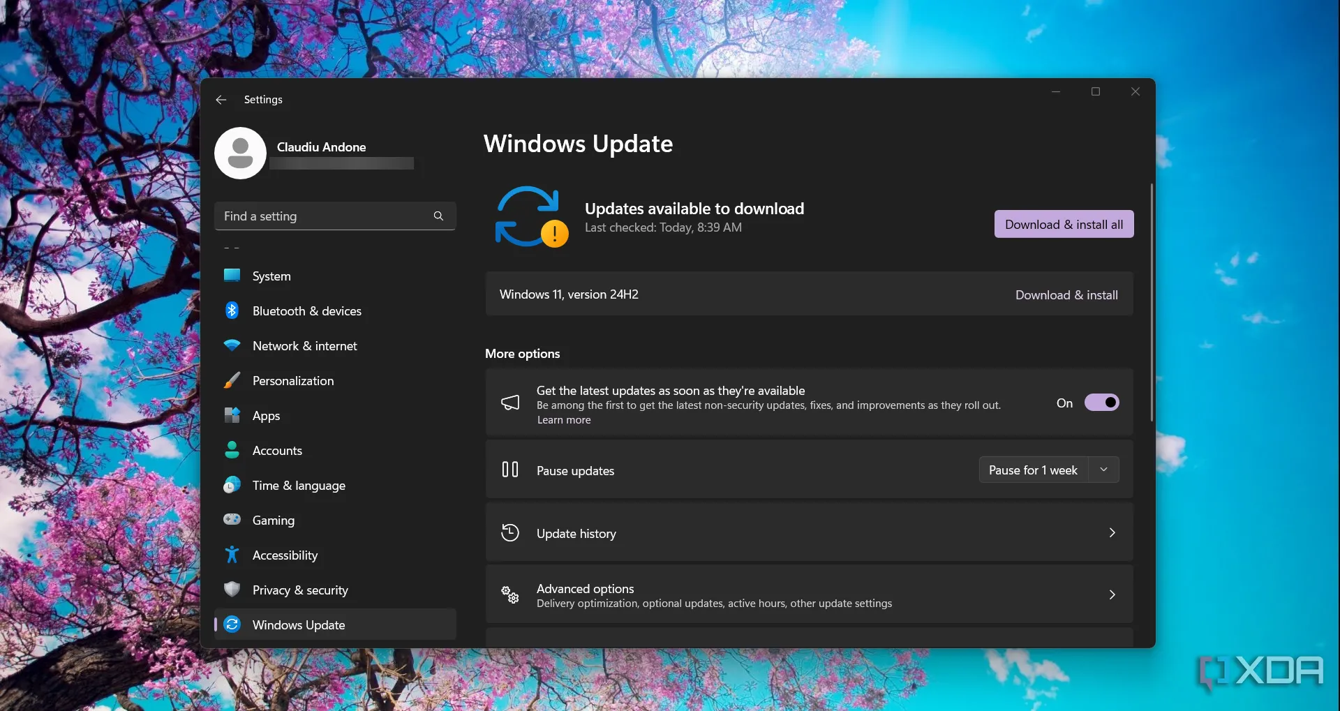 Cửa sổ Windows Update trong cài đặt Windows 11