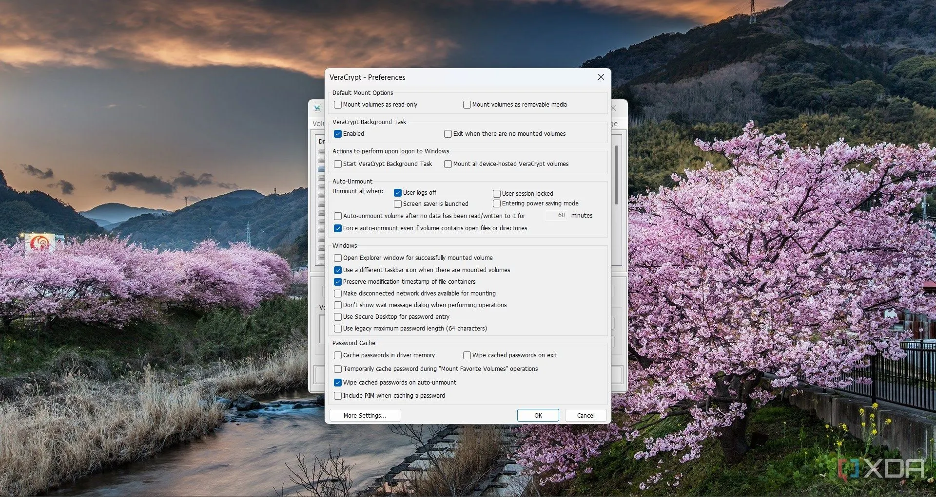Giao diện cửa sổ Tùy chỉnh (Preferences) của VeraCrypt với các tùy chọn nâng cao