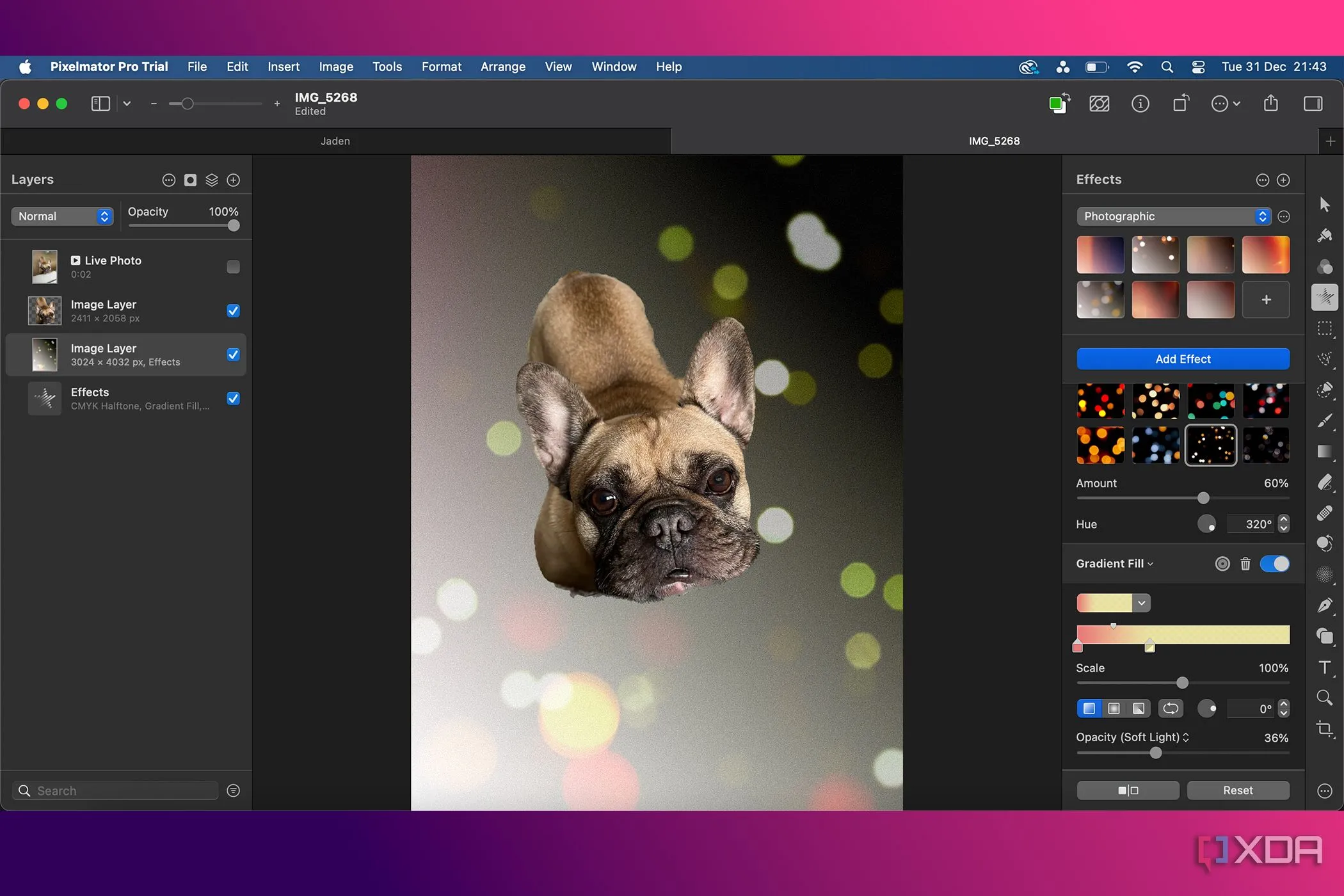 Hiệu ứng Bokeh được tạo bởi tính năng AI trong Pixelmator Pro