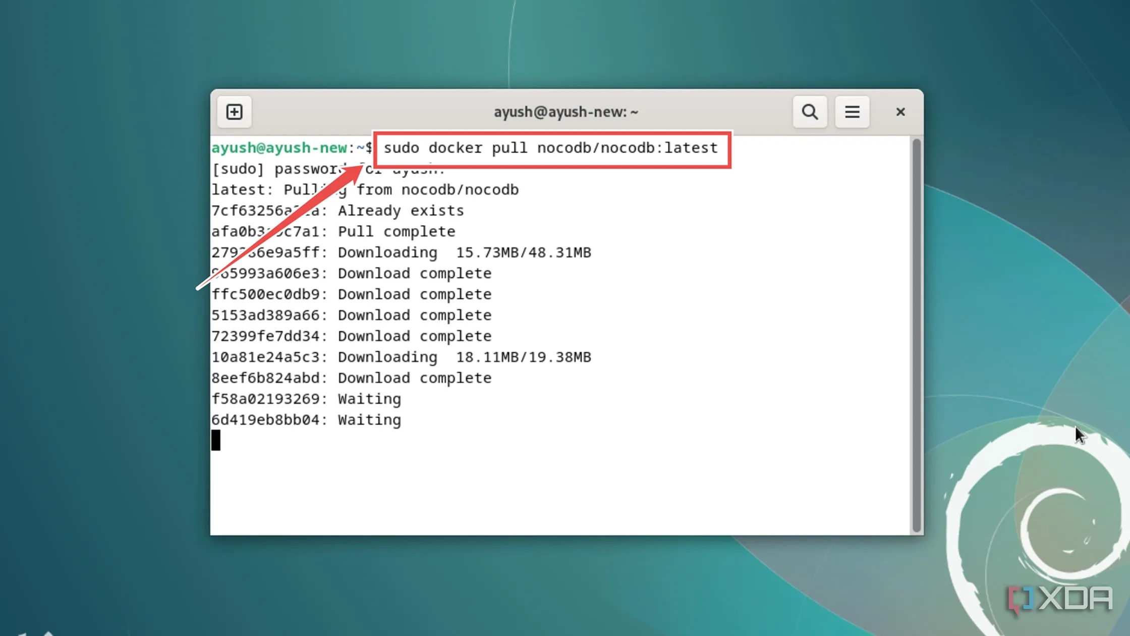 Lệnh Docker pull để tải image NocoDB mới nhất
