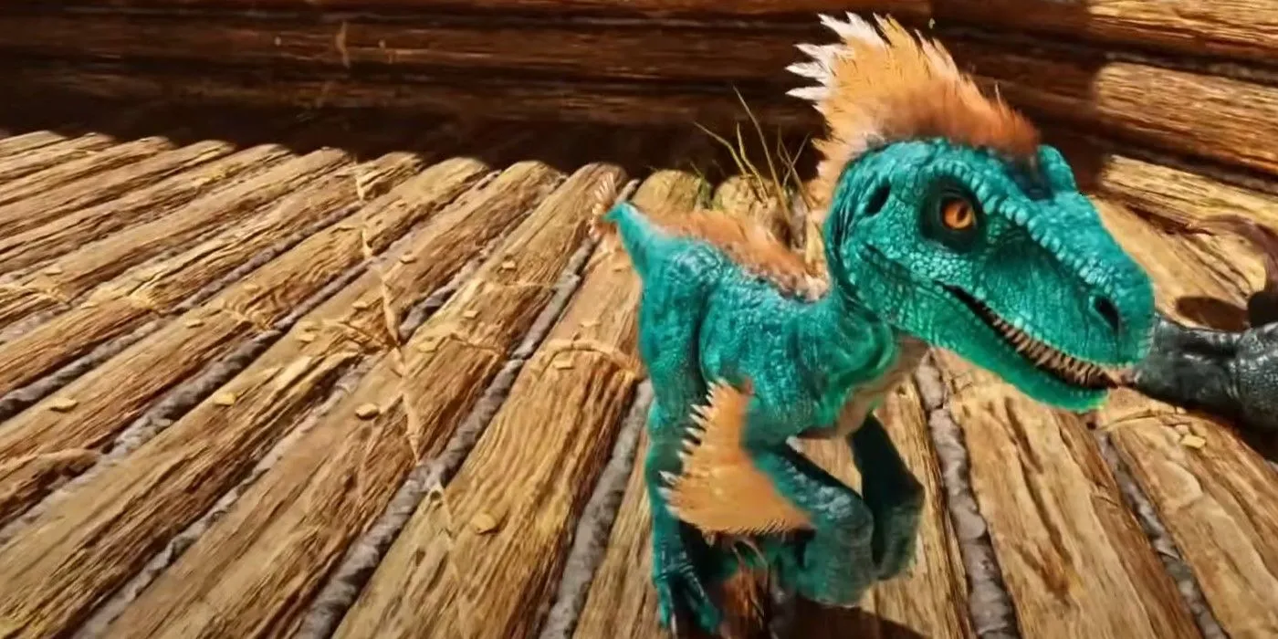 Một chú raptor con màu xanh dương với các điểm nhấn màu cam trong Ark: Survival Ascended