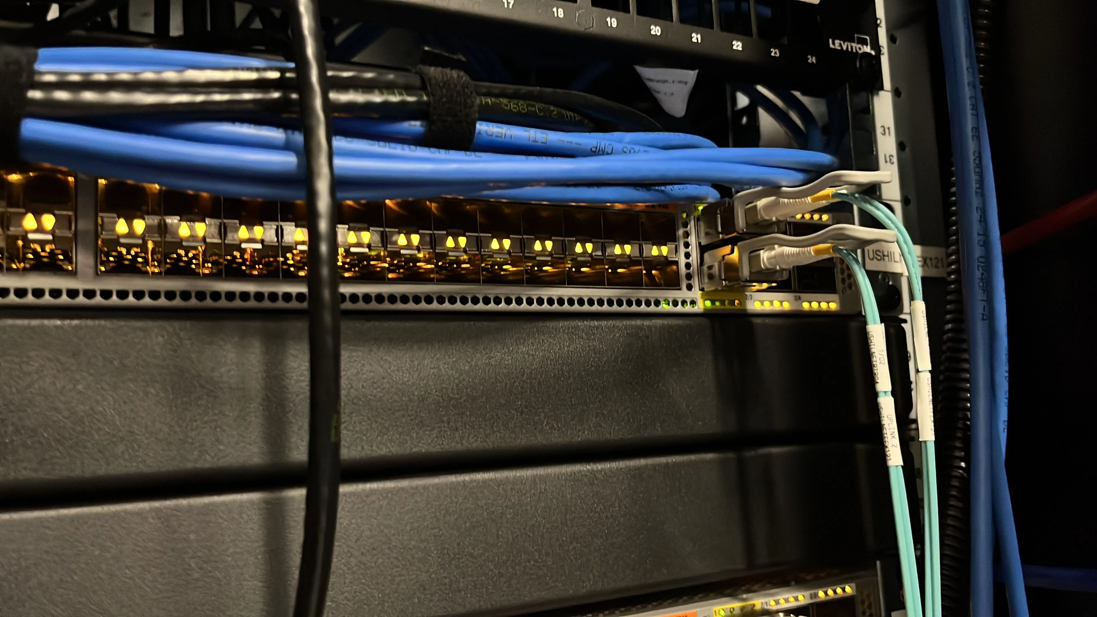 Một switch mạng với hệ thống cáp được quản lý gọn gàng, thể hiện kỹ năng cấu hình và quản trị mạng chuyên nghiệp