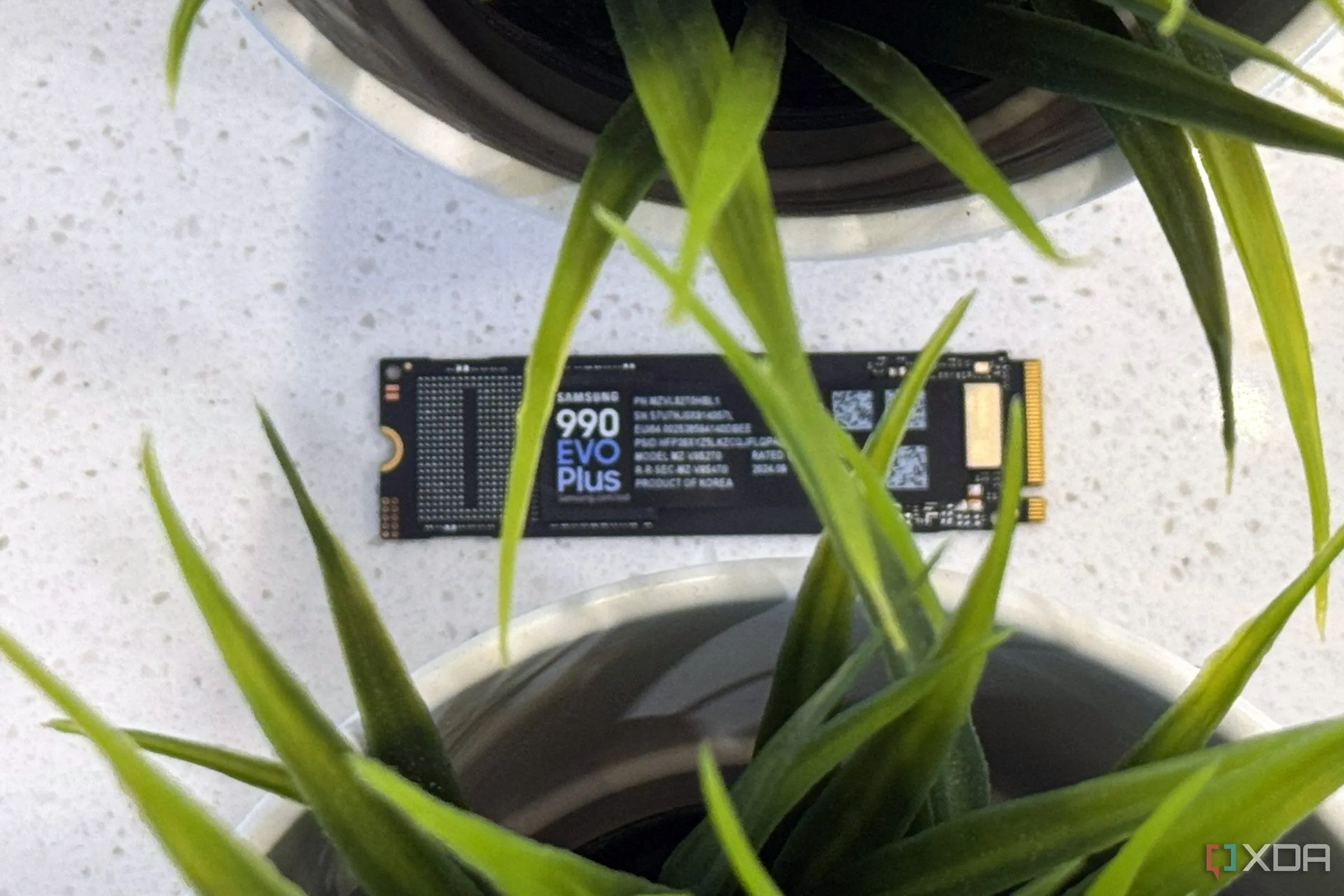 Ổ cứng SSD Samsung 990 EVO Plus NVMe với cây cảnh, minh họa sản phẩm SSD tốc độ cao