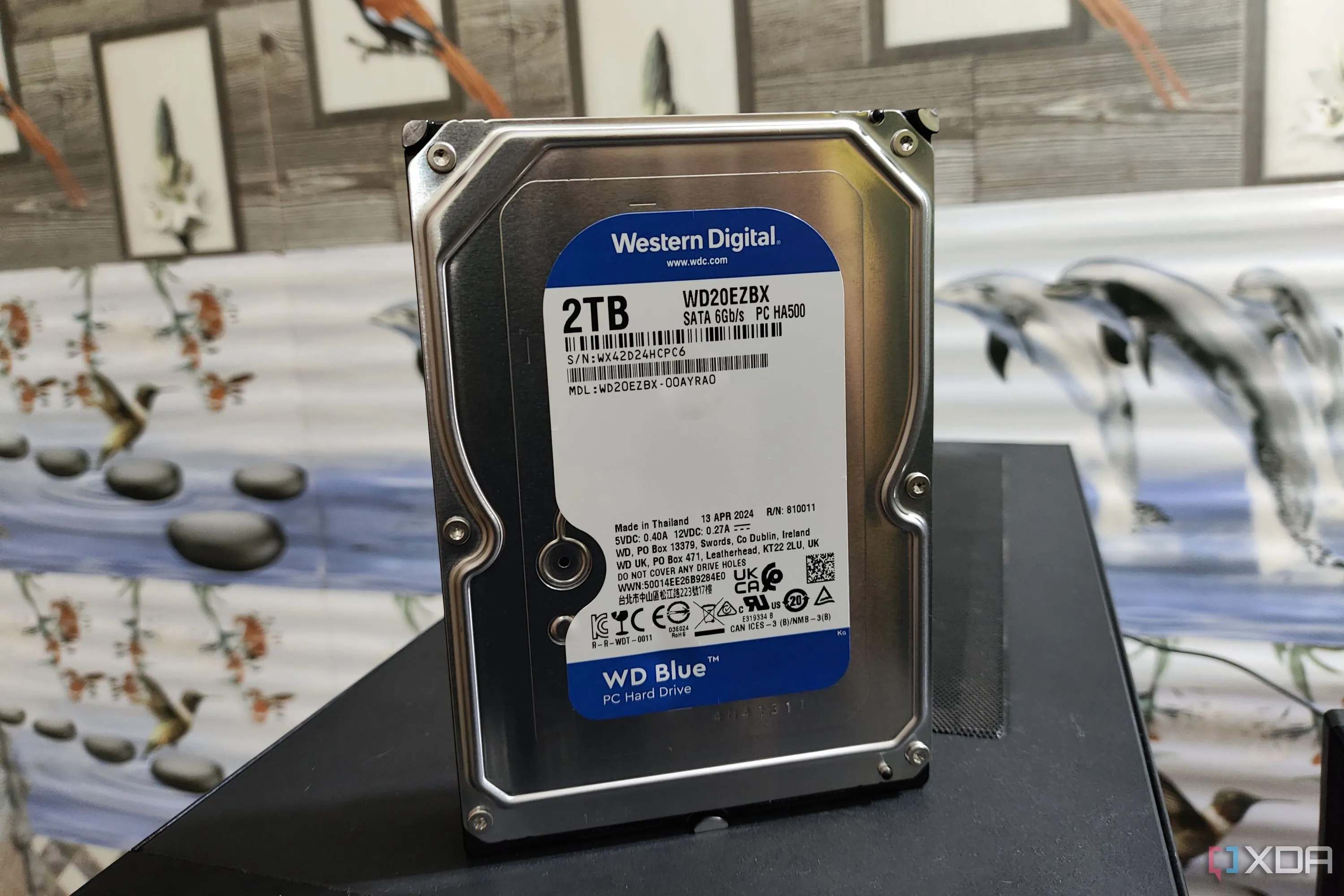 Ổ cứng WD Blue đặt trên PC