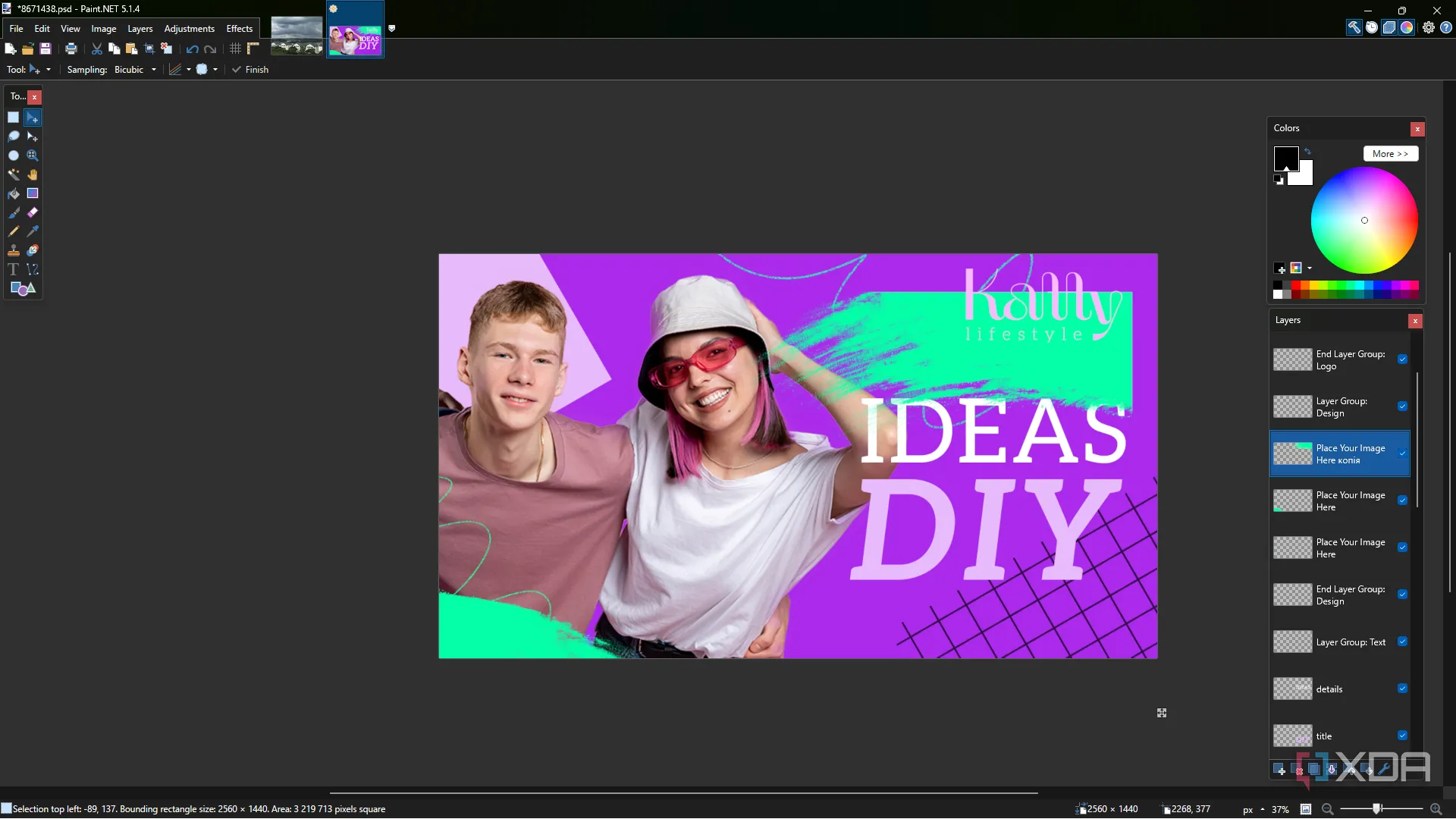 PaintNET editing PSD file