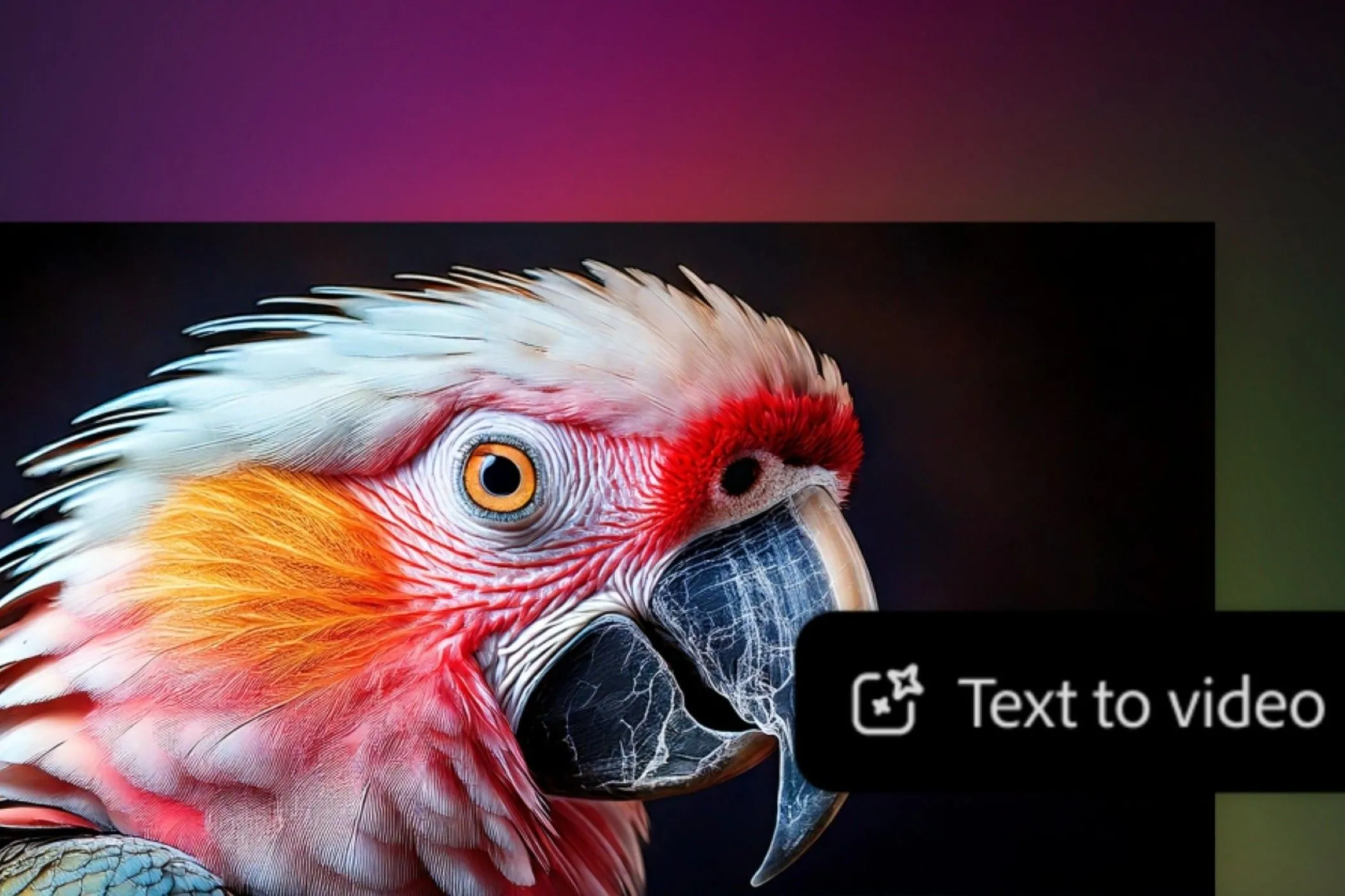 Video về vẹt nhiều màu sắc được tạo từ văn bản bằng Adobe Firefly